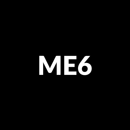 MET.-METZ.EU.SM.C.SUS.AEO logo