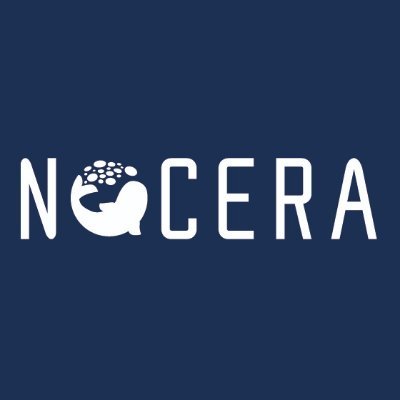 Nocera Inc. logo