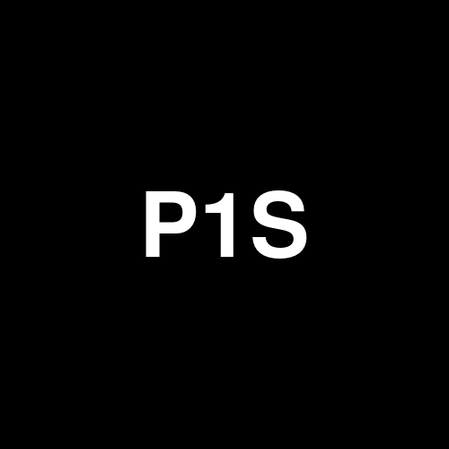 P1SX34 logo