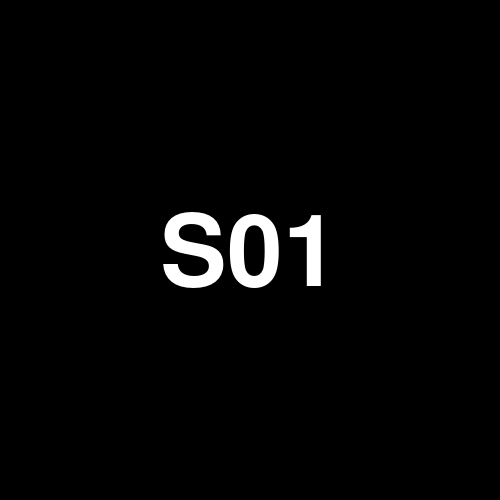 S0105 logo