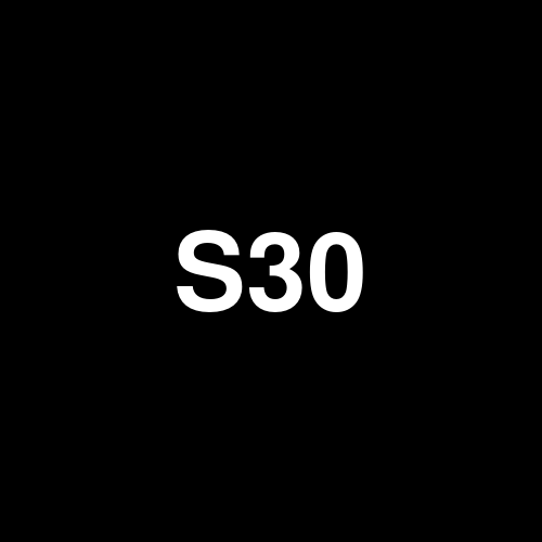 S3019 logo