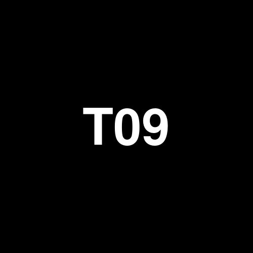 T09 logo