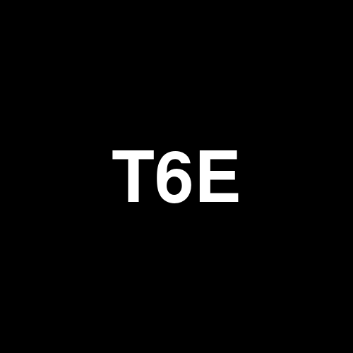 T6E logo