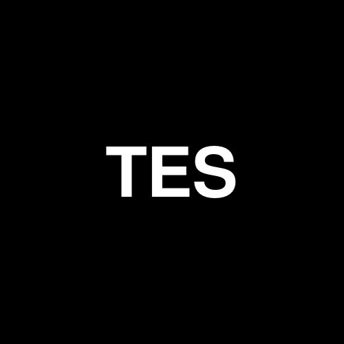 TESS3.375%15JUL25 logo