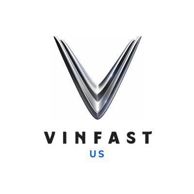 VFS logo