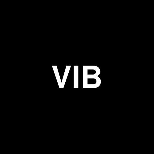 Vibe Growth Corporation logo