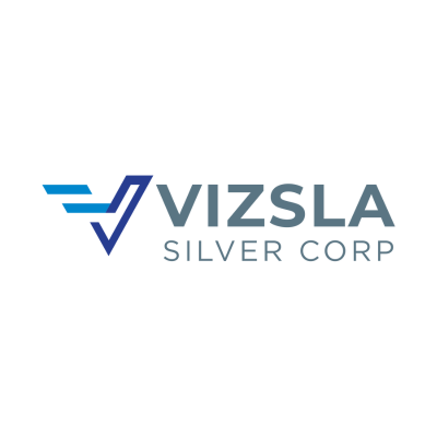 VZLA logo