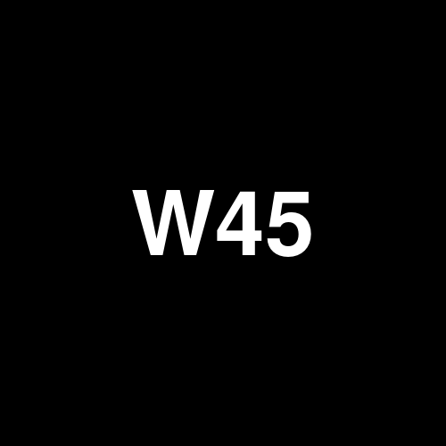 W450 logo