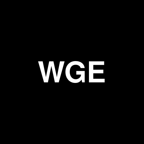 WGE Holdings Corp. logo