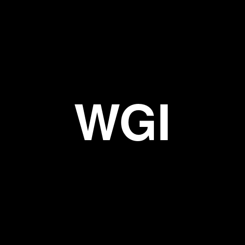 WGI Holdings, Inc. logo