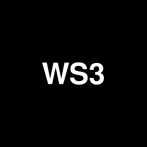 WS3D25 logo