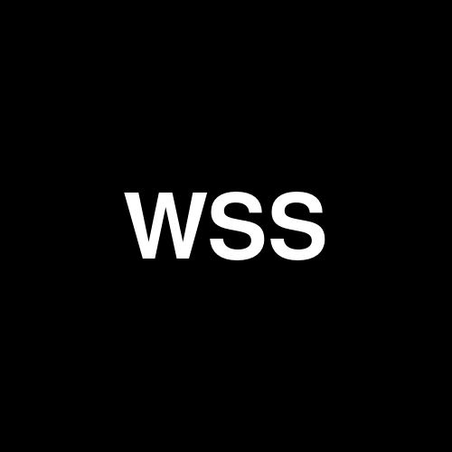 Wallstreet Securities, Inc. logo