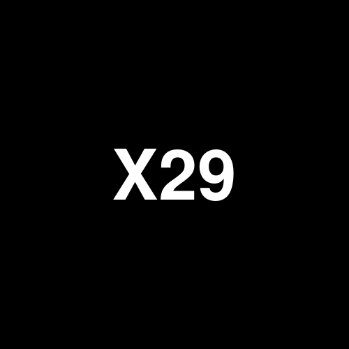 X29368 logo