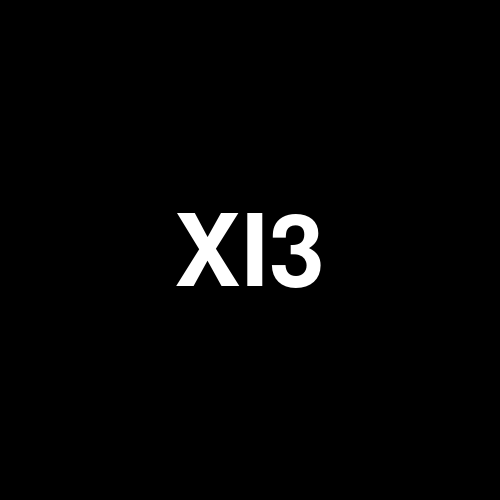 XI3 logo