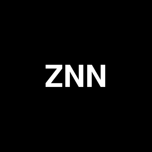 ZNNGY logo